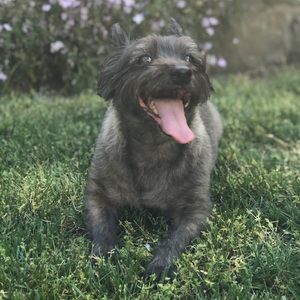 Meet your Posher, Julia